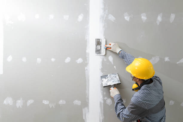 Best Residential Mold Inspection & Testing  in Cloverleaf, TX